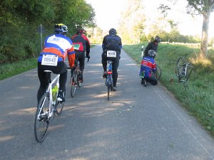 RTF Almabtrieb 095